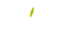 Almazara Maitino