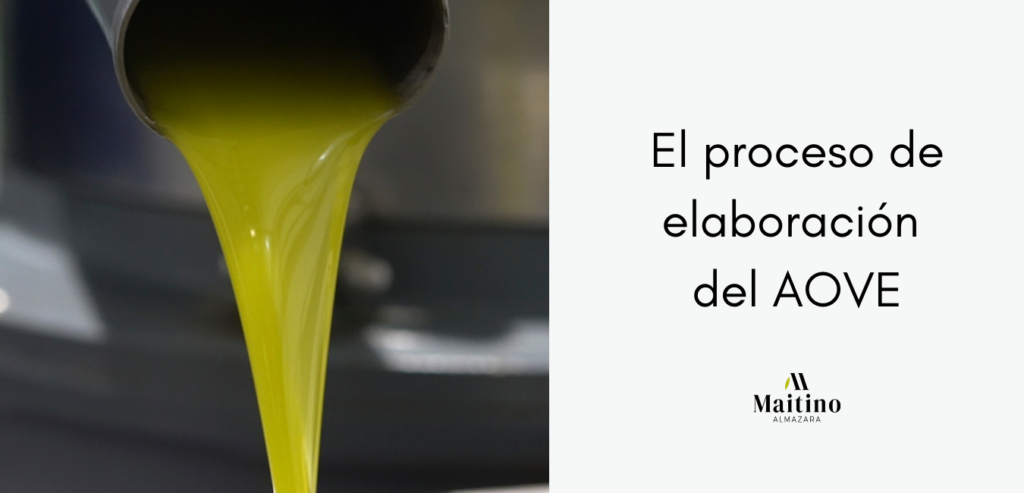 The EVOO production process
