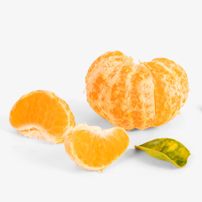 nadorcott mandarina